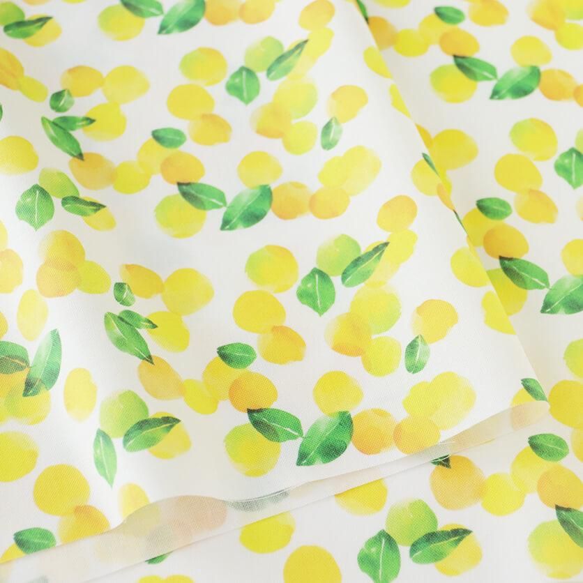Yuzu mini