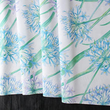 Load image into Gallery viewer, Agapanthus
