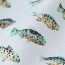 Load image into Gallery viewer, Rainbow trout fishing day mini(Green)
