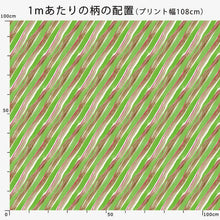 Load image into Gallery viewer, New Retro Diagonal Stripe(Green&amp;Brown)

