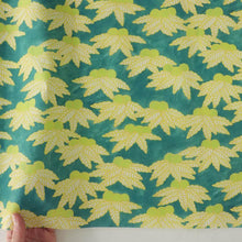 Load image into Gallery viewer, Japanese chestnut
