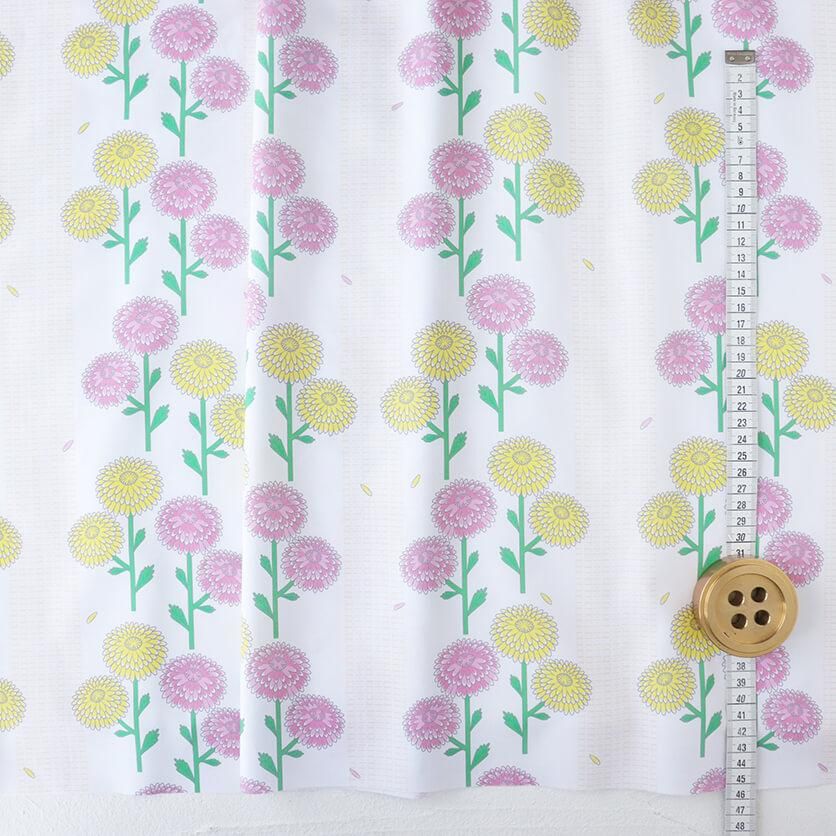 Chrysanthemum(YellowPink)
