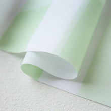 Load image into Gallery viewer, Masking Tape Stripe(Green)
