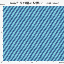 Load image into Gallery viewer, New Retro Diagonal Stripe(Blue Hawaii)
