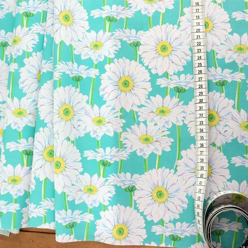 African daisy(Green)