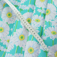 Load image into Gallery viewer, African daisy(Green)
