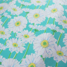 Load image into Gallery viewer, African daisy(Green)
