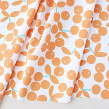 Load image into Gallery viewer, Shikuwasa(Orange)

