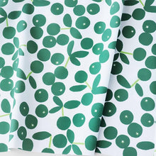 Load image into Gallery viewer, Shikuwasa(Green)
