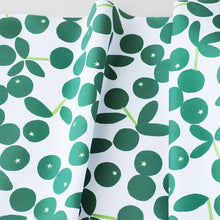 Load image into Gallery viewer, Shikuwasa(Green)
