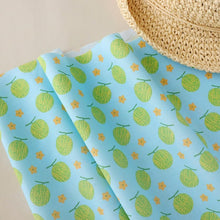 Load image into Gallery viewer, Melon medium(Blue)
