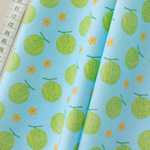 Load image into Gallery viewer, Melon medium(Blue)
