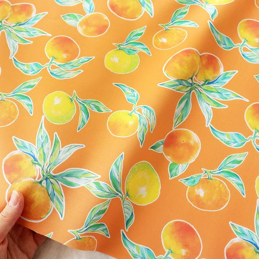 Orange(Orange)