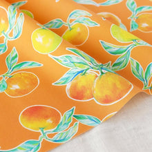 Load image into Gallery viewer, Orange(Orange)
