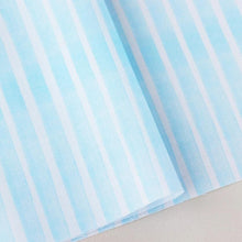 Load image into Gallery viewer, Sheer Stripe(Blue)
