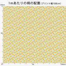 Load image into Gallery viewer, Find the Clover (Yellow &amp; White)
