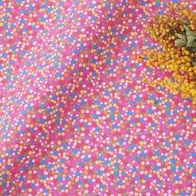 Load image into Gallery viewer, Fairy Bread (Pink)
